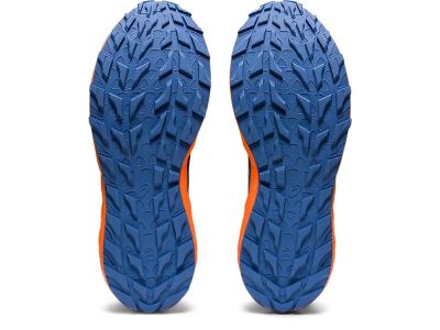 GEL SONOMA 6