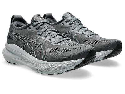 GEL-KAYANO 31