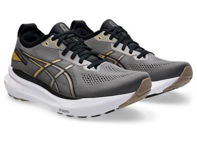 GEL-KAYANO 31